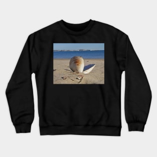 Revere Beach Clam Shell Back Revere MA Crewneck Sweatshirt